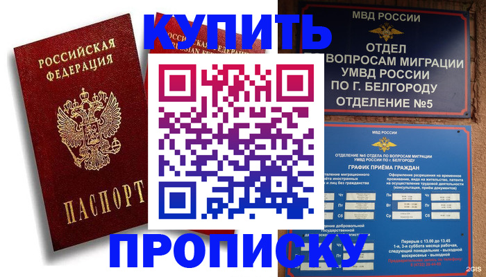прописка иностранных граждан в Немане